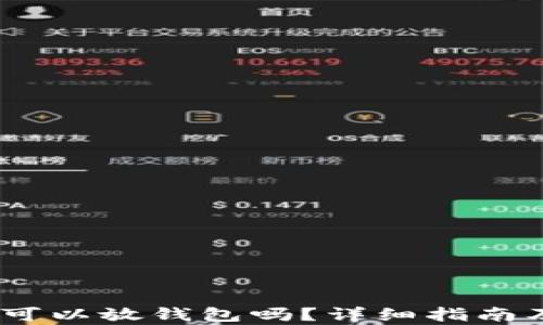 USDT(泰达币)可以放钱包吗?详细指南及最佳钱包推荐