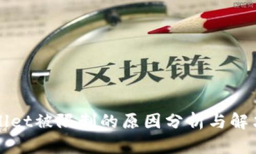 TPWallet被限制的原因分析与解决方案