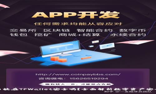 把币放在TPWallet安全吗?全面解析数字资产安全性