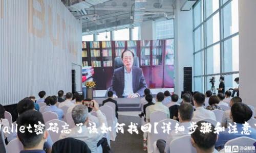 TPWallet密码忘了该如何找回?详细步骤和注意事项
