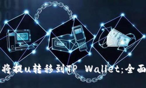 如何将提u转移到TP Wallet:全面指南