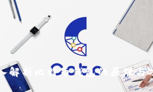 深入解析比特币钱包的原理与功能