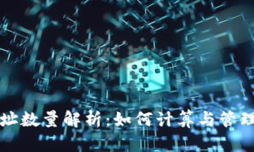 比特币钱包地址数量解析:如何计算与管理你的数字资产