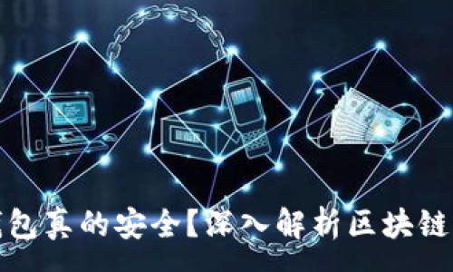 :
钱放区块链钱包真的安全？深入解析区块链钱包的安全性