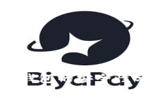 TPWallet身份钱包的安全性分