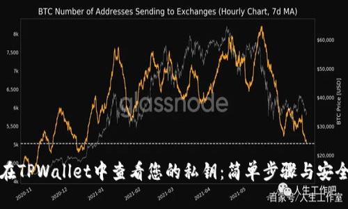 如何在TPWallet中查看您的私钥：简单步骤与安全提示