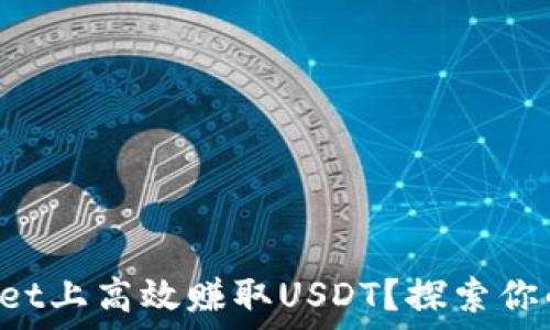   
如何在TPWallet上高效赚取USDT？探索你的投资新天地！