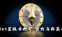 探索Tpwallet荔枝币挖矿：实