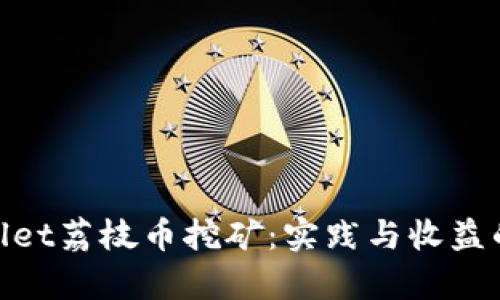 探索Tpwallet荔枝币挖矿：实践与收益的完美结合