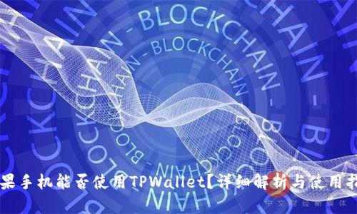 苹果手机能否使用TPWallet？详细解析与使用指南