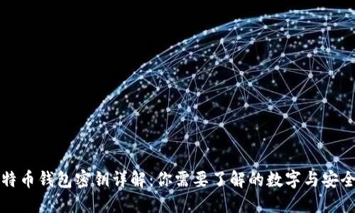 比特币钱包密钥详解：你需要了解的数字与安全性