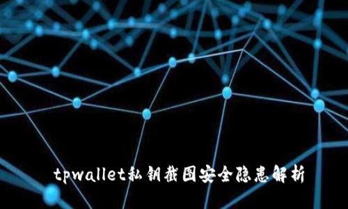  tpwallet私钥截图安全隐患解析