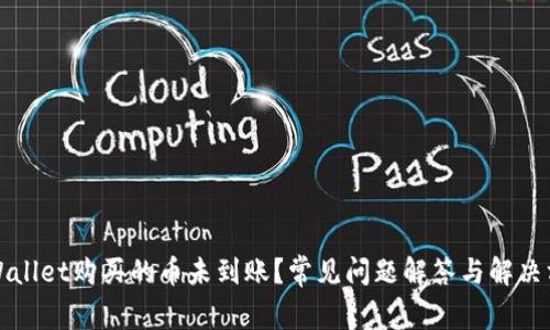 TPWallet购买的币未到账？常见问题解答与解决方案