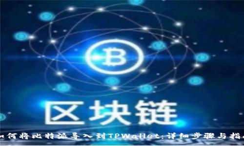 :
如何将比特派导入到TPWallet：详细步骤与指南